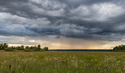 A green field under a dramatic sky, with dark clouds gathering. Rain falls in the distance, creating a contrast of light and shadow.