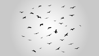 Flying Birds Flock Vector Illustration. Suitable for Wall art, posters, t-shirts, home decor, Greeting cards