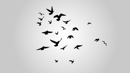  Flying Birds Flock Vector Illustration. Suitable for Wall art, posters, t-shirts, home decor
