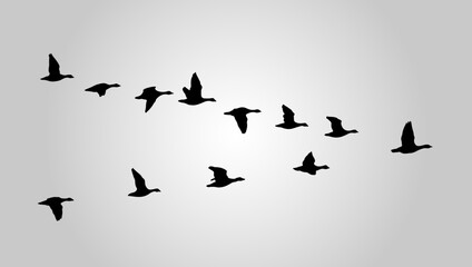 Obraz premium Silhouette of Flying Birds Flock Vector Illustration. Suitable for Wall art, posters, t-shirts, home decor, Greeting cards, wedding invitations, stationery, and apparel