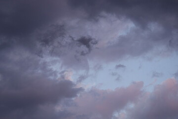 Obraz premium Hummingbird Feeder and Hummingbirds