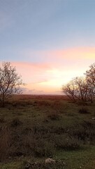 sunrise in the forest