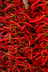 Fototapeta premium Reise nach Mallorca. Close up von Chillis