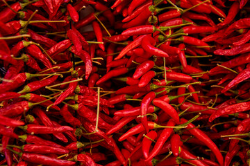 Reise nach Mallorca. Close up von Chillis