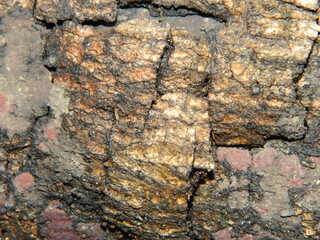 Tree Bark. Scratchy Pattern. Abstract Grainy Background.