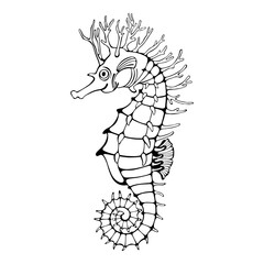Outline vector illustration of a seahorse on a white background. Side view of black seahorse. Great for logos, cards, banners, posters, cards, menu decoration,  printing and textiles.