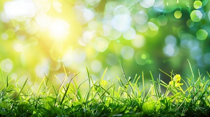 Beautiful spring background with fresh green grass on meadow. Nature landscape with sunlight and copy space