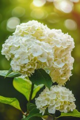 A white flower with green leaves is in the foreground