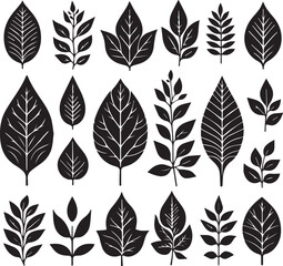 Sets of leaf silhouette vector