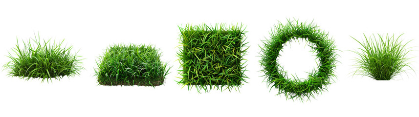  Grass Different Shapes and Forms cut out dicut PNG on transparent  cut out dicut PNG on transparent