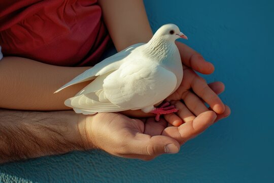 Adult and child hands hold white dove for peace.