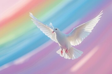 Obraz premium white dove flying in the sky