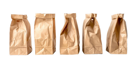 Standing Brown Paper Bags