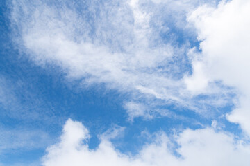 Obraz premium 見上げると綺麗な青空