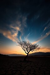 Obraz premium Solitary tree standing in a cracked arid landscape against a dramatic sunset sky, symbolizing resilience and natural beauty.