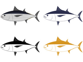 横から見たクロマグロ