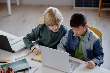 Two young multiethnic male students pairing up while studying on laptop during collaborative task...