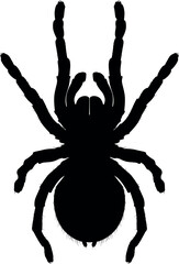 Lasiodora parahybana, Brazilian giant tarantula spider invertebrate animal, wild terrarium animal realistic silhouette