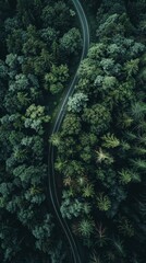 Aerial Top View of Winding Mountain Road in Dense Green Forest. Scenic Drive from Various Angles. Artistic Design Mockup Template. AI-Generated, 4K High-Definition Wallpaper