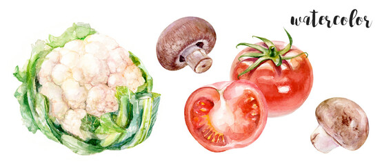 Watercolor of cauliflower, mushrooms, and tomatoes, showcasing their essence with an artistic touch