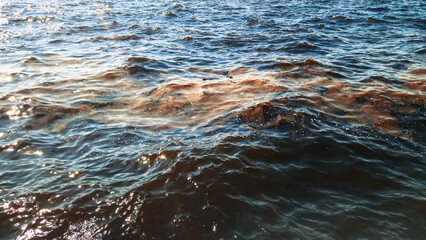 Environmental pollution in the Aegean Gulf