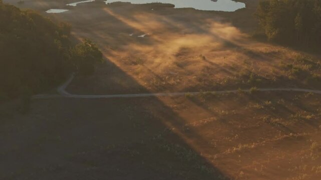 Aerial view of foggy sunrise over heather fields and trees, Bakkeveen, Friesland, Netherlands.