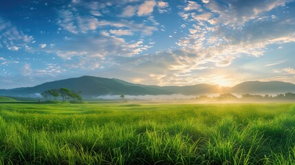 Free good morning scene wallpaper background photo