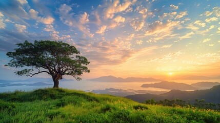 Free good morning scene wallpaper background photo