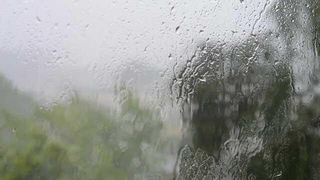Heavy rain, trees swaying in the wind. Natural disasters. Hurricane wind with rain. Drops of rain flow down the glass.