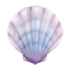 Seashells PNG Photo Overlays - High-Resolution Transparent Overlays and for Creative Projects, Perfect for Photography, Design, and Artistic Enhancements. Generated AI