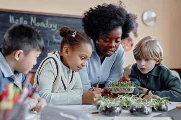 Multiethnic group of primary school kids discovering growth of plants looking at microgreen sprouts...