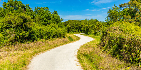 Bicycle path in the countryside of the Oleron island on a sunny day, France