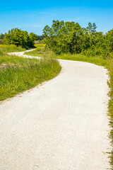 Bicycle path in the countryside of the Oleron island on a sunny day, France