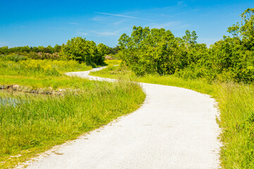 Bicycle path in the countryside of the Oleron island on a sunny day, France