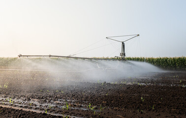 Agricultural irrigation system watering corn field