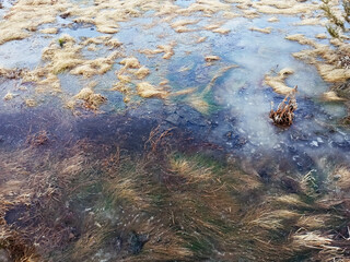 Tundra vegetation. Withered grass in ice. View from above.