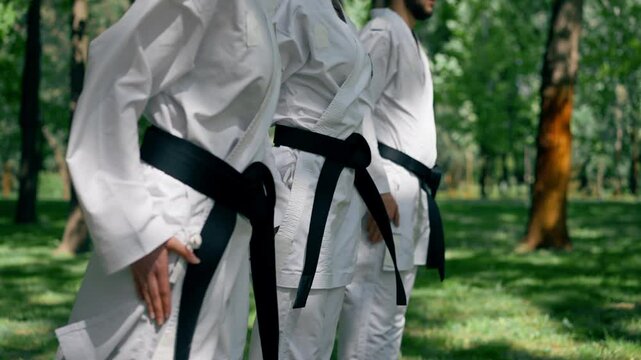 outdoors in the park in sunny weather young karatekas are warming up using the karate technique martial arts black belt healthy lifestyle combat training