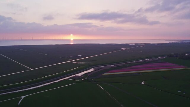 Aerial view of serene tulip fields at sunset with canal and road, Workum, Friesland, Netherlands.