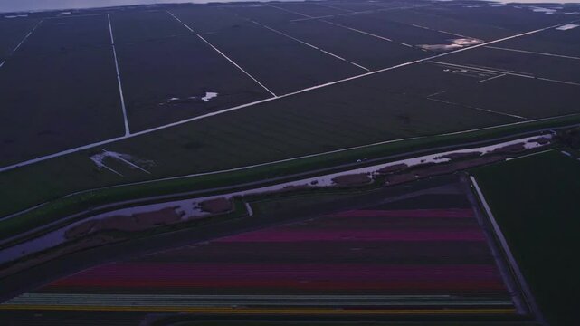 Aerial view of tulip fields and winding canal at sunset, Workum, Friesland, Netherlands.