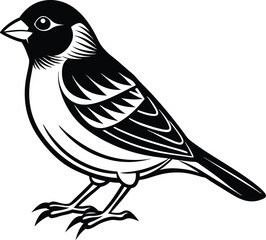 Black and white finch silhouette