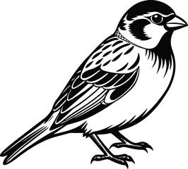 Obraz premium Black and white sparrow silhouette