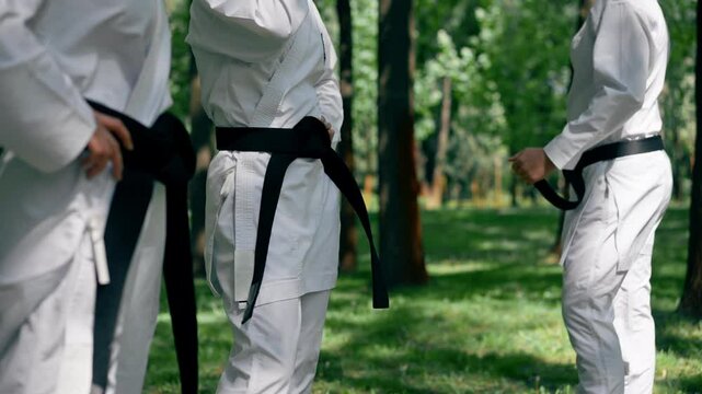 outdoors in the park in sunny weather young karatekas are warming up using the karate technique martial arts black belt healthy lifestyle combat training