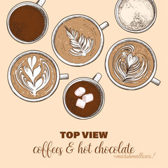 Vector hand drawn warm and hot beverages. Top view lattes and milk chocolates with marshmallows. Drinks assets ready to use and easy to edit.