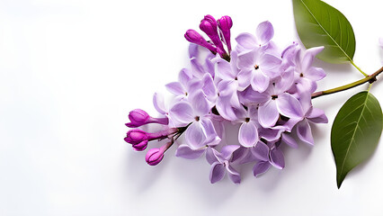 Beautiful flowers bring back memories.