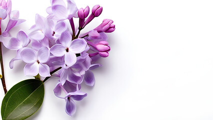 Beautiful flowers bring back memories.