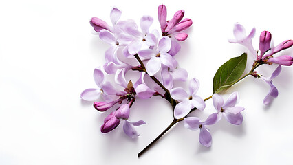 Beautiful flowers bring back memories.