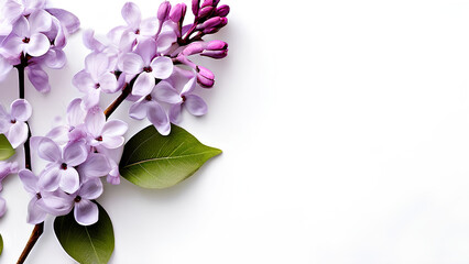 Beautiful flowers bring back memories.