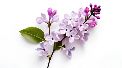 Beautiful flowers bring back memories.