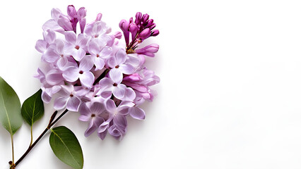 Beautiful flowers bring back memories.