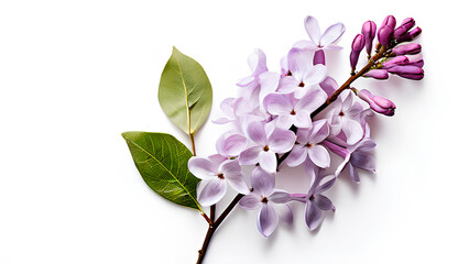 Beautiful flowers bring back memories.